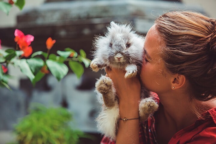 необычные животные, которых можно держать дома