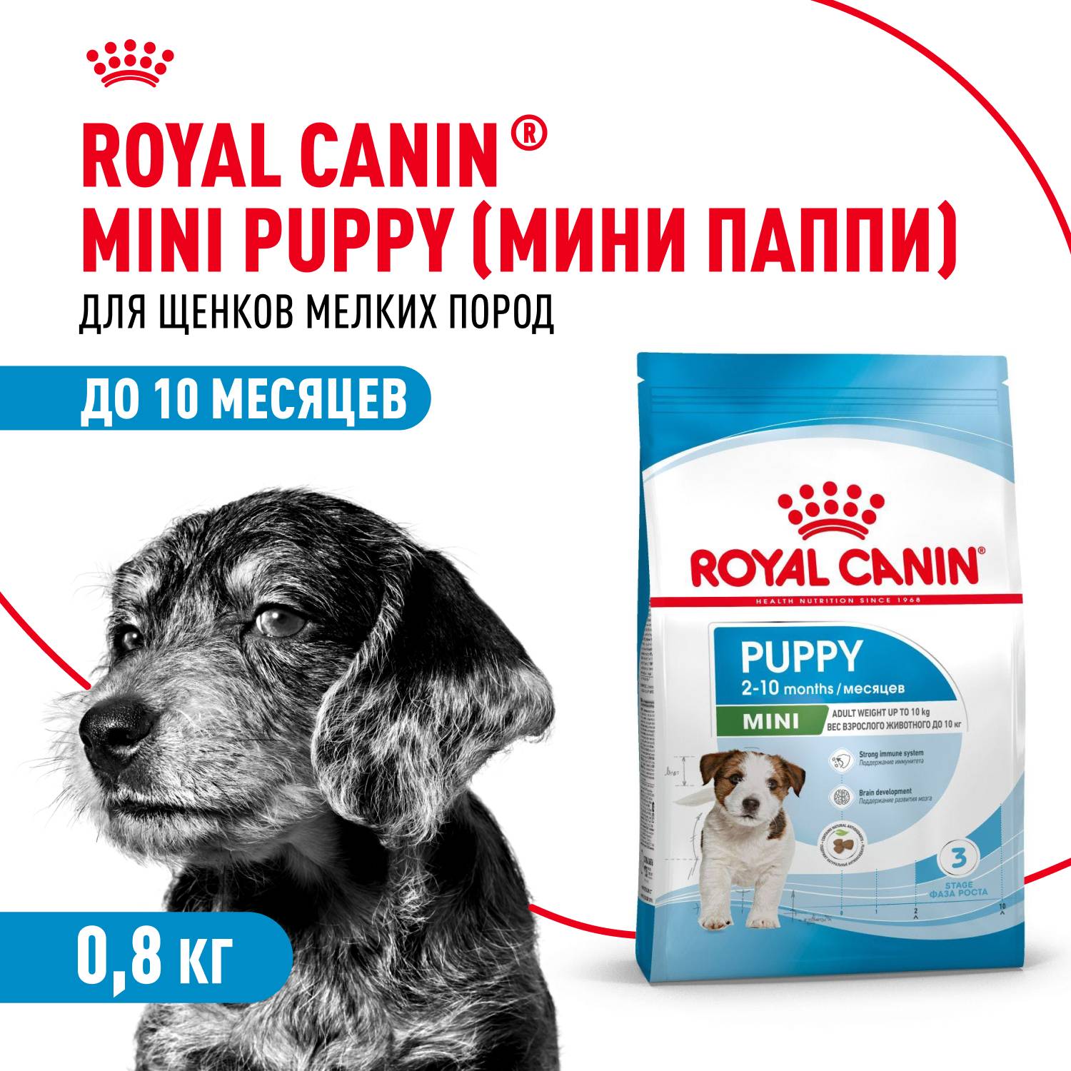 Сухой корм для щенков ROYAL CANIN Junior Mini