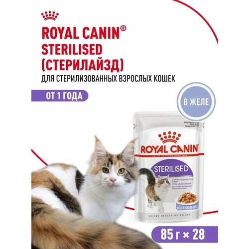 Влажный корм для взрослых стерилизованных кошек Royal Canin 85г*28шт В желе