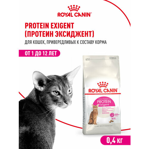 Корм для кошек Royal Canin Protein Exigent (Протеин Экзиджент) Корм сухой сбалансированный для привередливых взрослых кошек