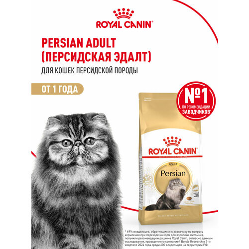 Корм для кошек Royal Canin Persian Adult (Персиан Эдалт) Корм сухой сбалансированный для взрослых персидских кошек