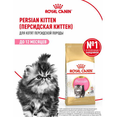 Корм для кошек Royal Canin Persian Kitten (Персиан Киттен) Корм сухой сбалансированный для персидских котят