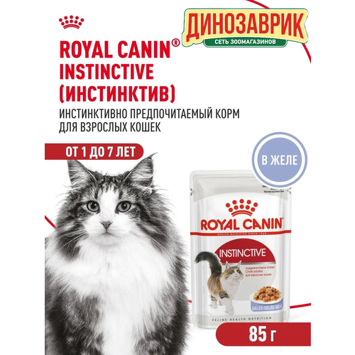 РК Инстинктив пауч д/кошек (желе) (вес 85 гр)