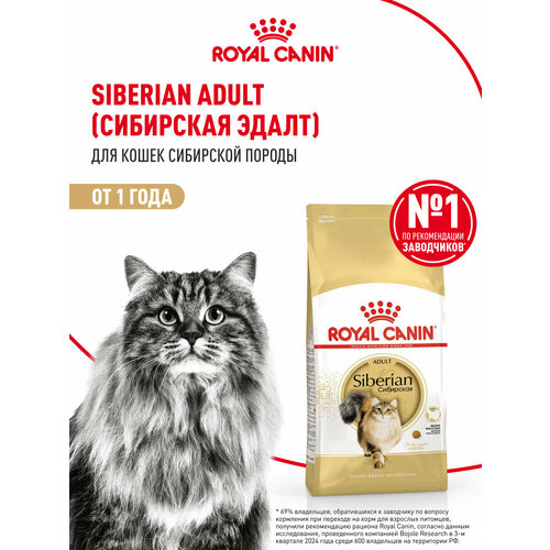 Корм для кошек Royal Canin Siberian Adult (Сибирская Эдалт) сухой специально для породы Сибирская от 12 месяцев