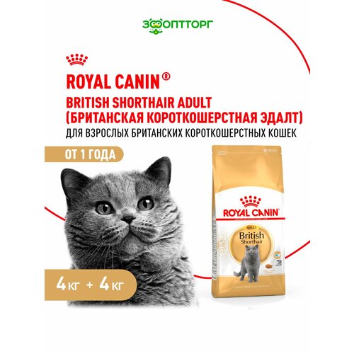 Сухой корм Royal Canin British Shorthair Adult для взрослых кошек британской короткошерстной породы Птица