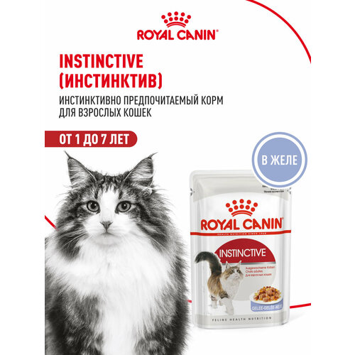Корм для взрослых кошек Royal Canin Instinctive (Инстинктив) Корм консервированный