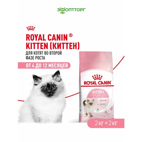 Сухой корм Royal Canin Kitten для котят от 4 месяцев Птица