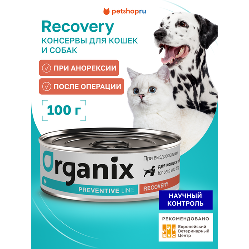 Recovery Консервы для кошек и собак в период анорексии