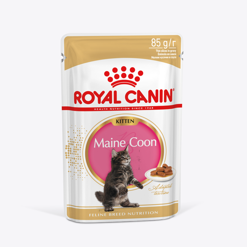 Корм Royal Canin для котят породы Мэйн Кун в возрасте до 15 месяцев MAINE COON KITTEN (мейн КУН киттен)