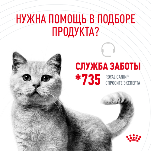 Сухой корм для кошек Royal Canin Hair&Skin Care (Хэйр Энд Скин Кэа) от 1 до 12 лет