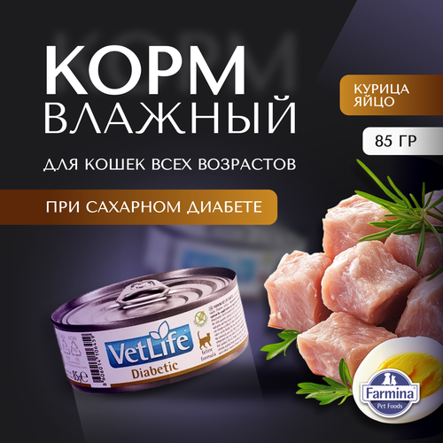 Влажный корм Farmina Vet Life Diabetic для кошек при диабете