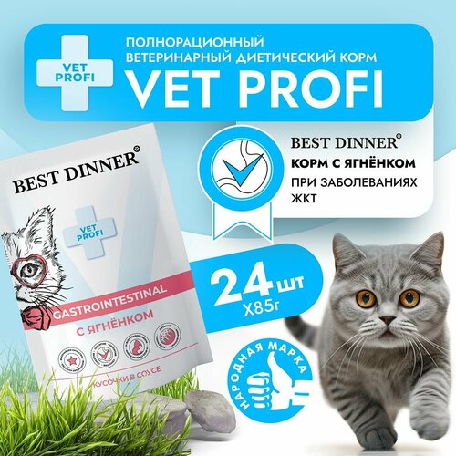 Влажный корм для кошек Best Dinner VET PROFI Gastro Intestinal кусочки в соусе Ягненок