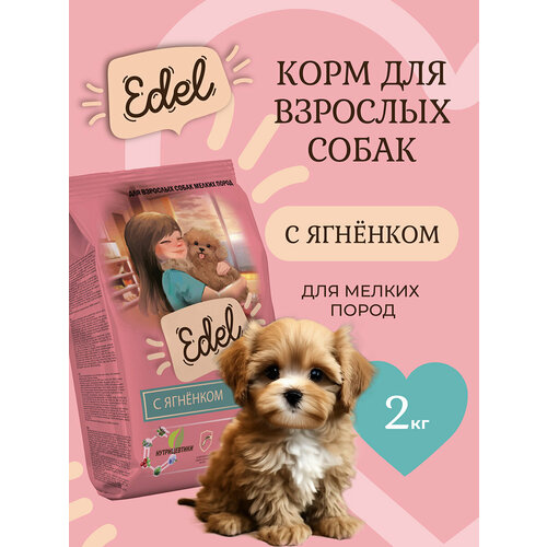 Корм сухой для собак мелких